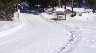 Fondo Skis 